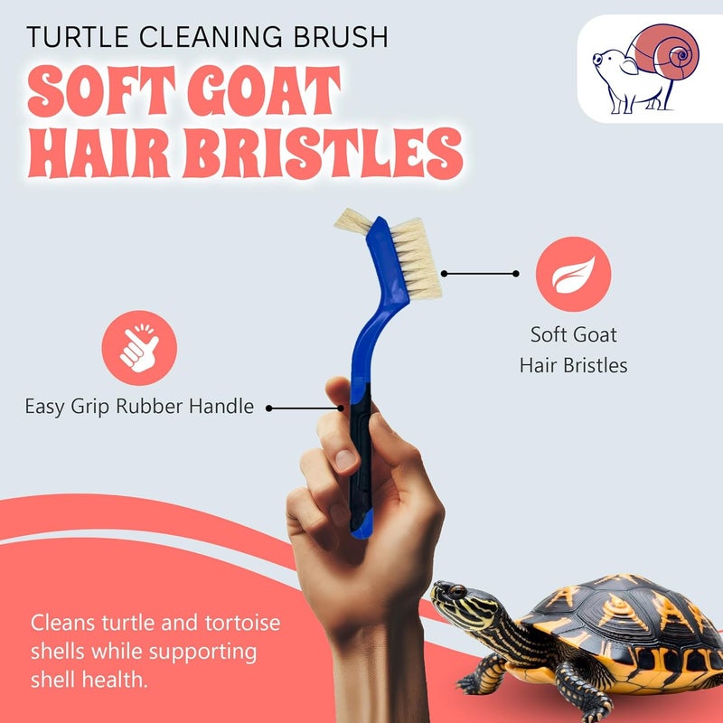 Snout and Shell Turtle Cleaning Brush - Gently Remove Dirt from Turtles and Tortoises - Blue by - Image 2